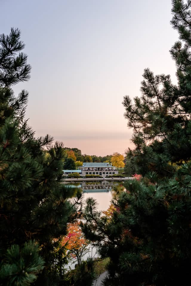 A building is shown behind a lake. The perspective shows this building framed by two pine trees