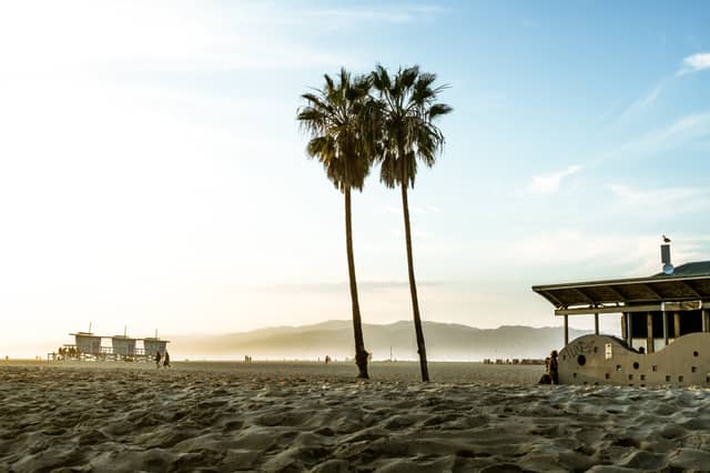 Two palm trees are shown next to each with on a beach, with mountains and lifeguard huts in the background