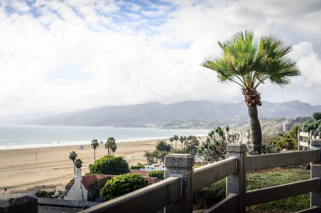 A palm tree is shown looking over a beach, the ocean, and mountains